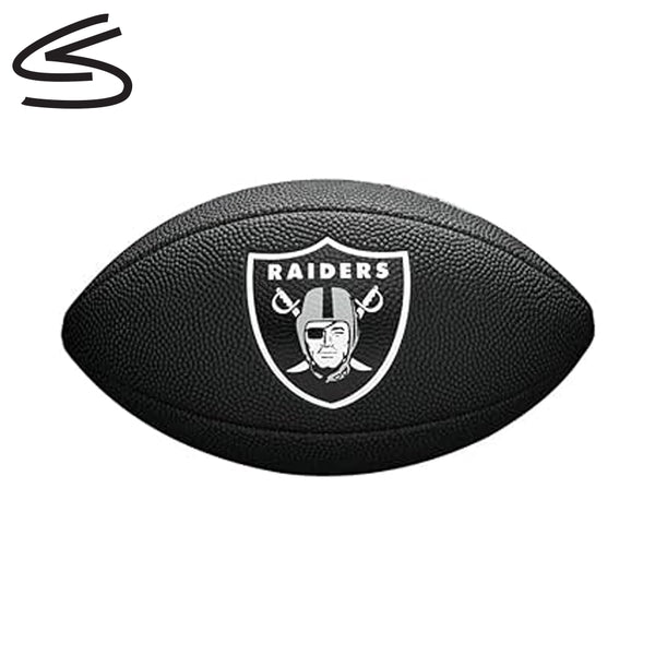 NFL Mini Ball Raiders